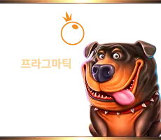 프라그마틱슬롯